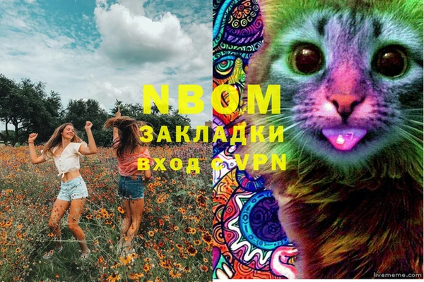 PSILOCYBIN Валуйки