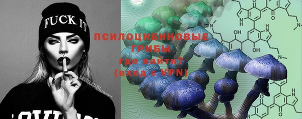 PSILOCYBIN Валуйки