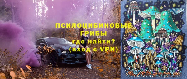 крисы Валдай