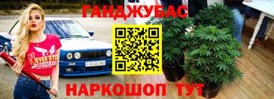 крисы Волжский