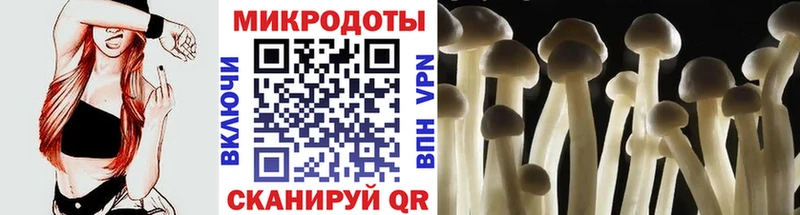 Псилоцибиновые грибы Cubensis  где найти   ОМГ ОМГ рабочий сайт  Кировск 
