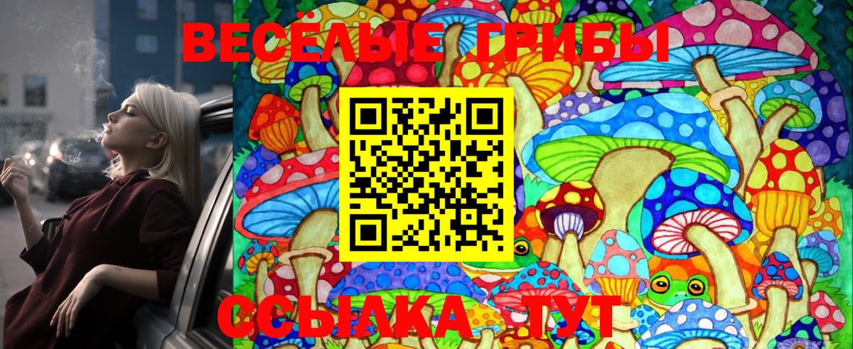 Кировск  Галлюциногенные грибы GOLDEN TEACHER  Галлюциногенные грибы GOLDEN TEACHER  Вход с VPN 