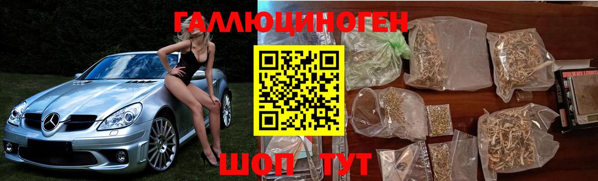 где найти   Кировск  Псилоцибиновые грибы мухоморы 