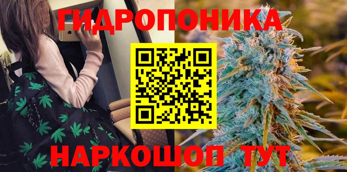 Конопля SATIVA & INDICA  Конопля марихуана  Кировск  Бошки марихуана MAZAR 